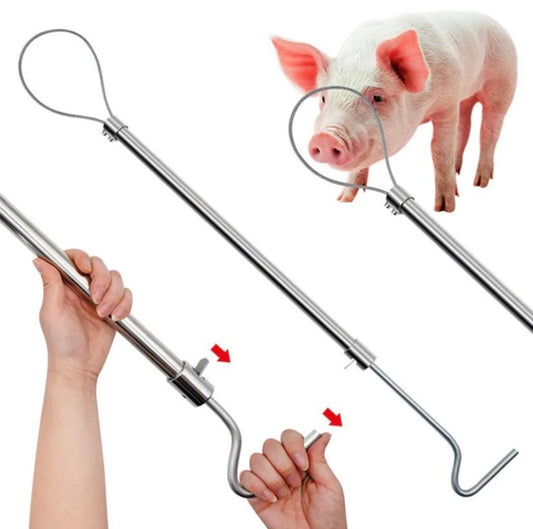 Ласо за улавяне на прасета и други животни ID:0114